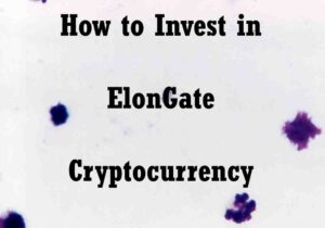 ElonGate Crypto